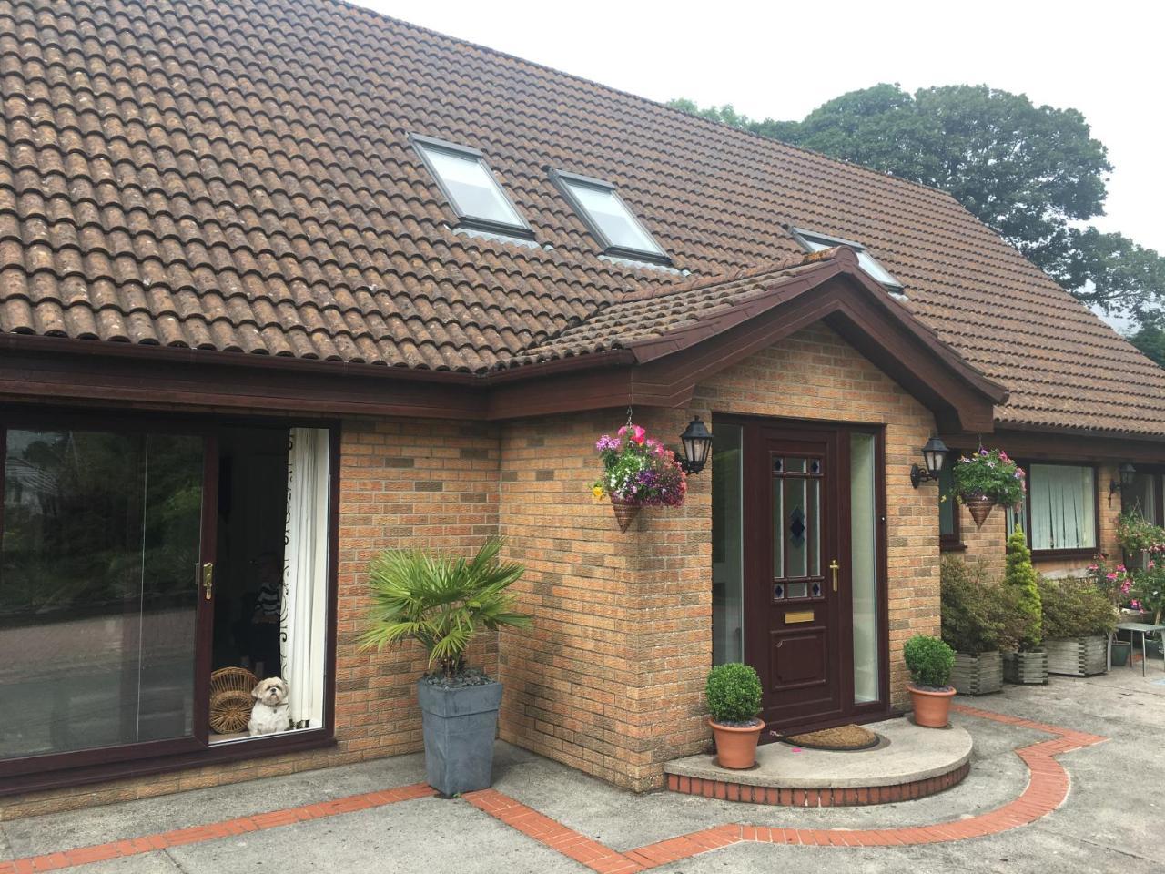 The Firs - Englefield Studio Bed & Breakfast Douglas Exterior photo